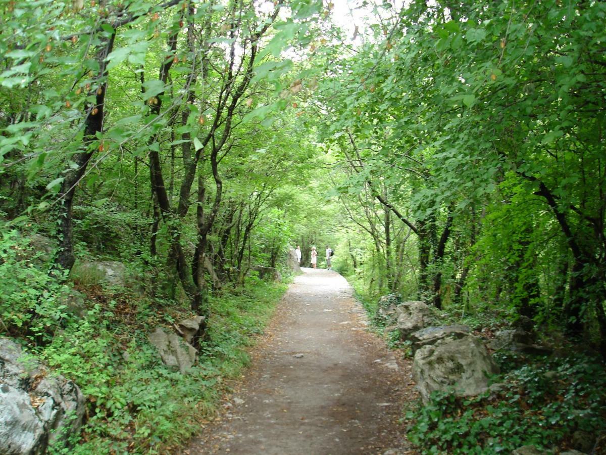 סלינה Villa Jaz מראה חיצוני תמונה